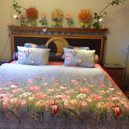 Villa Victoria โมชนมายารูวาร์ ภายนอก รูปภาพ